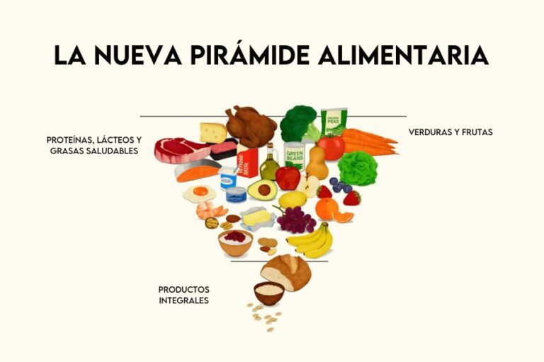 pirámide alimenticia 2026