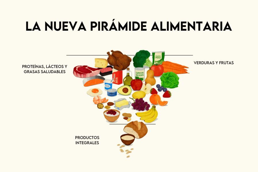 pirámide alimenticia 2026
